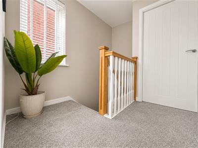 Picture 13
